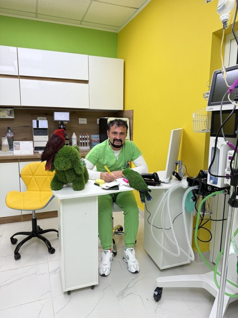 rb clinics предлага висококачествени ветеринарни продукти, фуражи и професионални консултации. Специализирани операции, ДДД услуги и експ 10