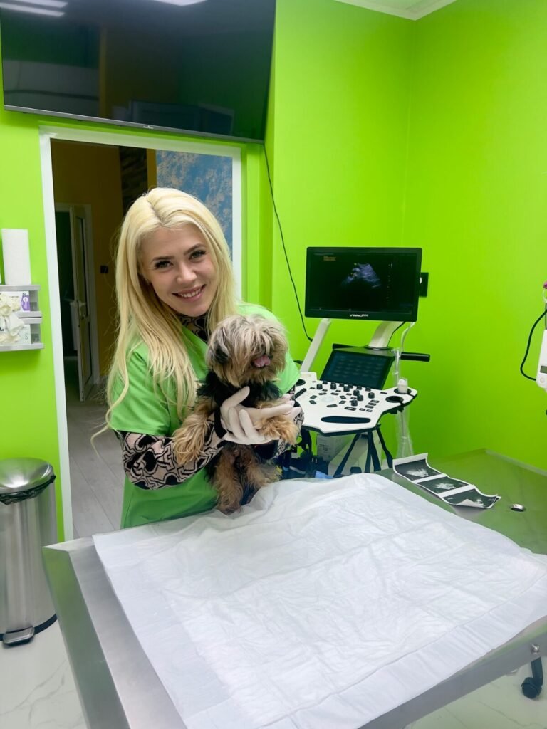 rb clinics предлага висококачествени ветеринарни продукти, фуражи и професионални консултации. Специализирани операции, ДДД услуги и експр 6