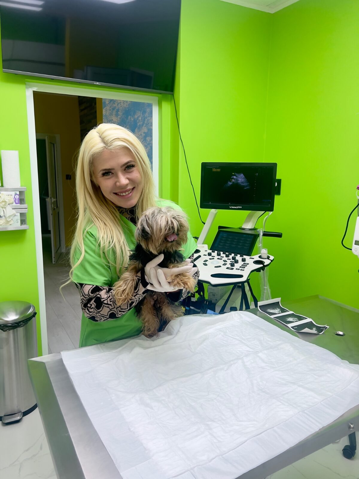 rb clinics предлага висококачествени ветеринарни продукти, фуражи и професионални консултации. Специализирани операции, ДДД услуги и експр 6