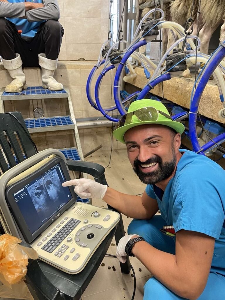 rb clinics предлага висококачествени ветеринарни продукти, фуражи и професионални консултации. Специализирани операции, ДДД услуги и експр 7