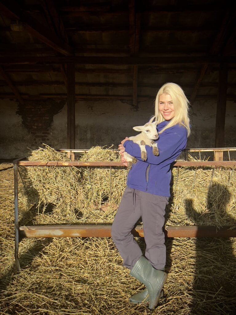 rb clinics предлага висококачествени ветеринарни продукти, фуражи и професионални консултации. Специализирани операции, ДДД услуги и експр 9