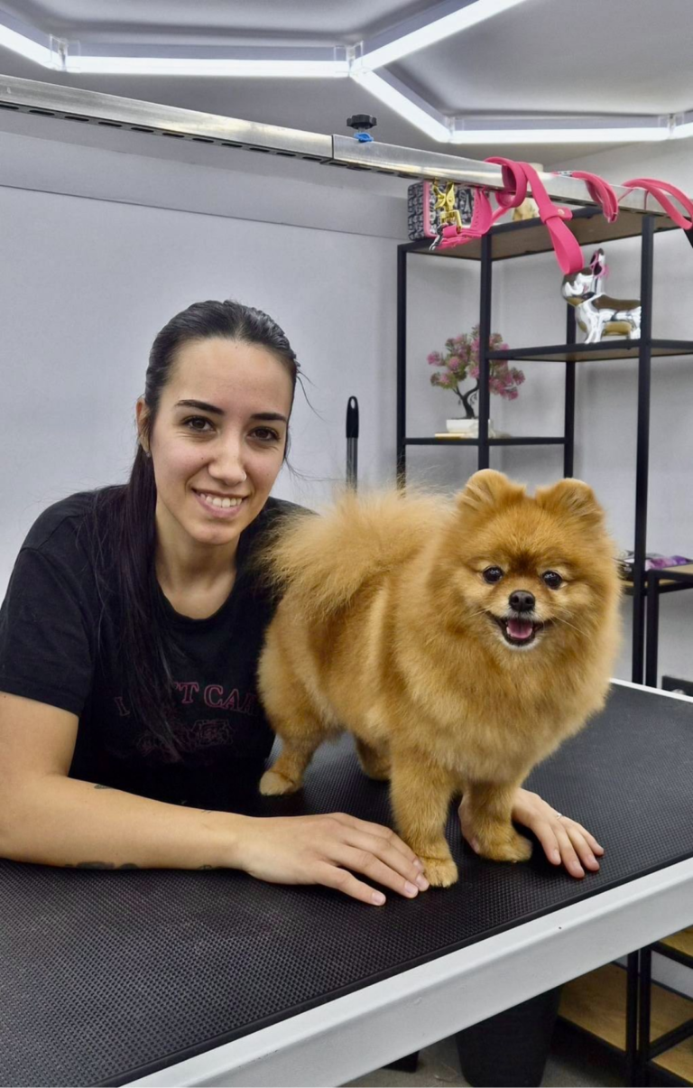 rb clinics предлага висококачествени ветеринарни продукти, фуражи и професионални консултации. Специализирани операции, ДДД услуги и експре